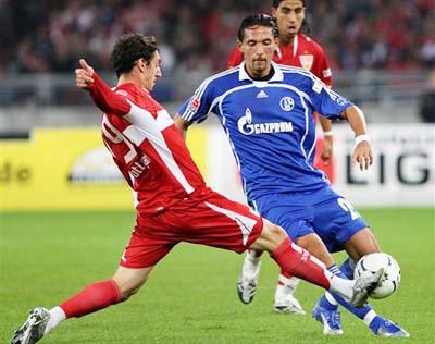 告诉他们永 告诉他们永